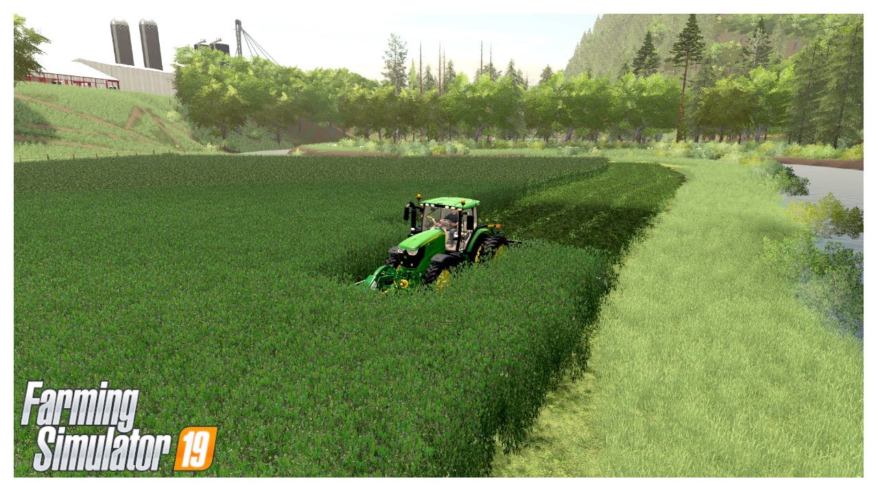 ALFALFA MOWING FOR CATTLE FEED | Georgetown MP Roleplay | Farming Simulator 19