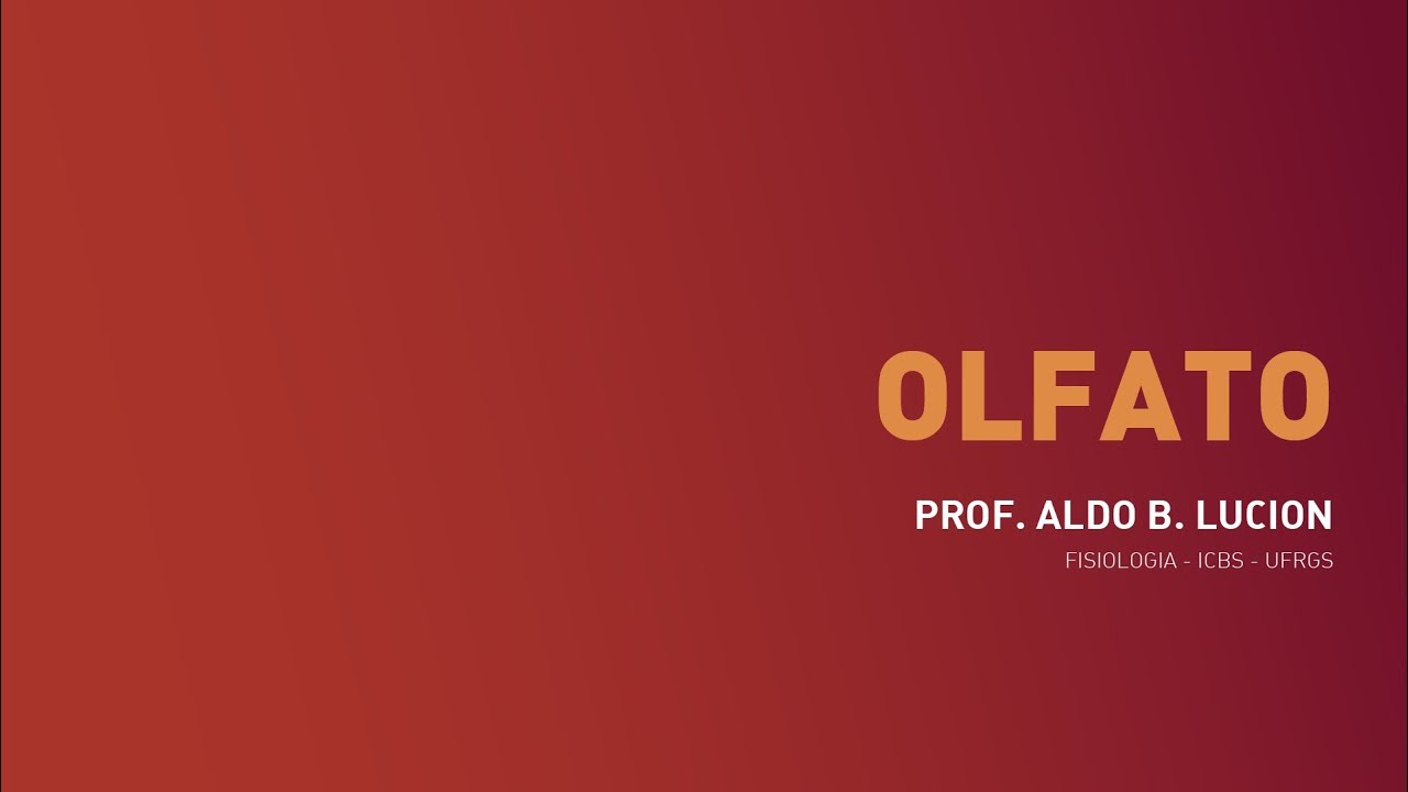 Olfato