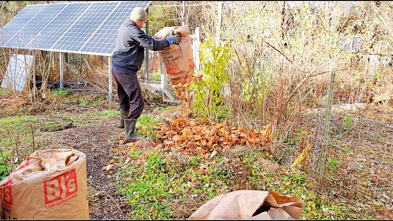 No-Till Deep Mulch for Garden Creation (using leaf bags!)