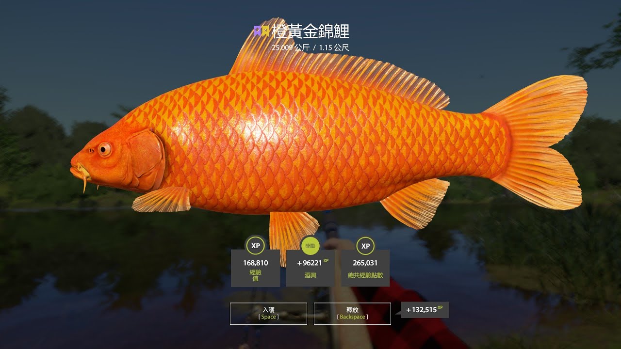 Russian Fishing 4｜Copper Lake－Trophy Orenji Ogon｜銅湖－星橙黃金錦鯉(25.009kg)