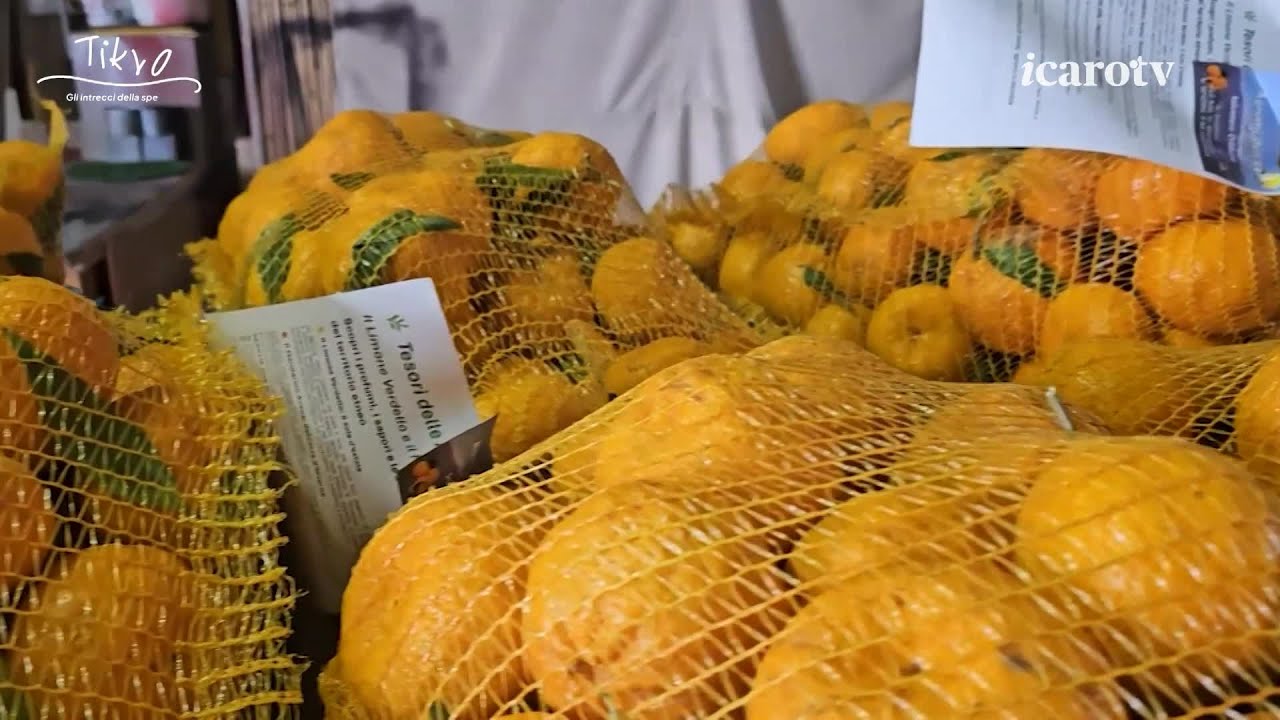 Tikva - sabato 7 marzo 2026