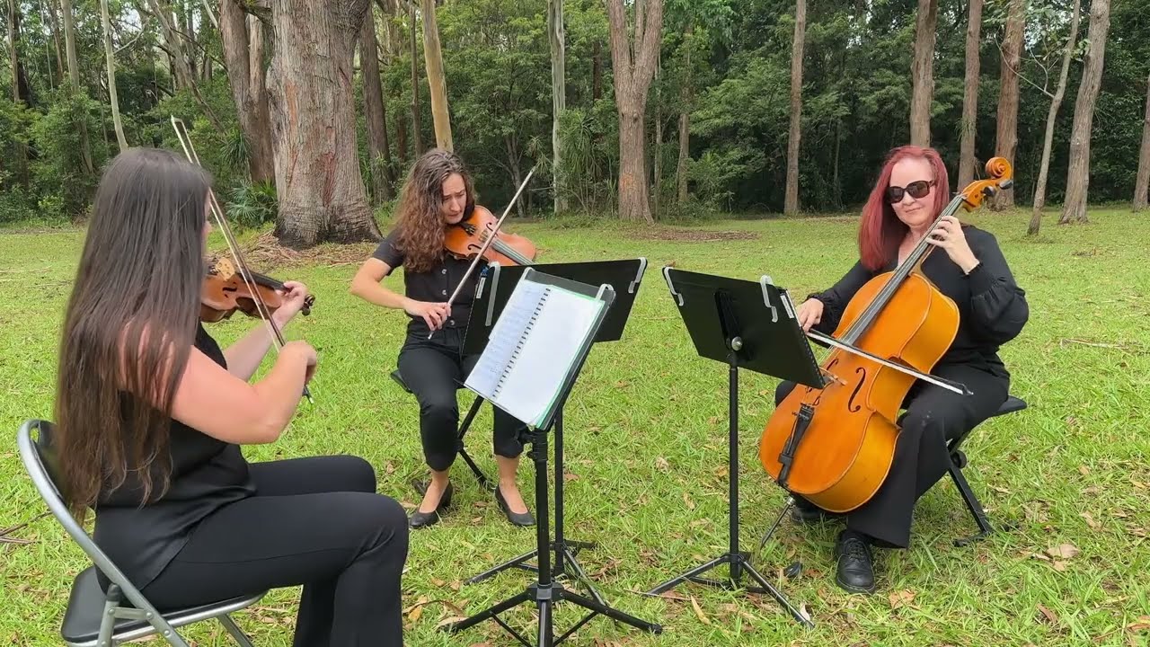 Veritas Strings Reel