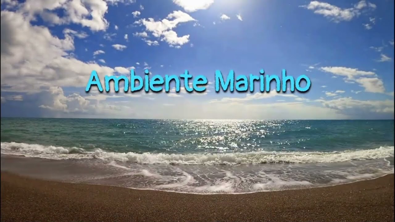 Aves Marinhas