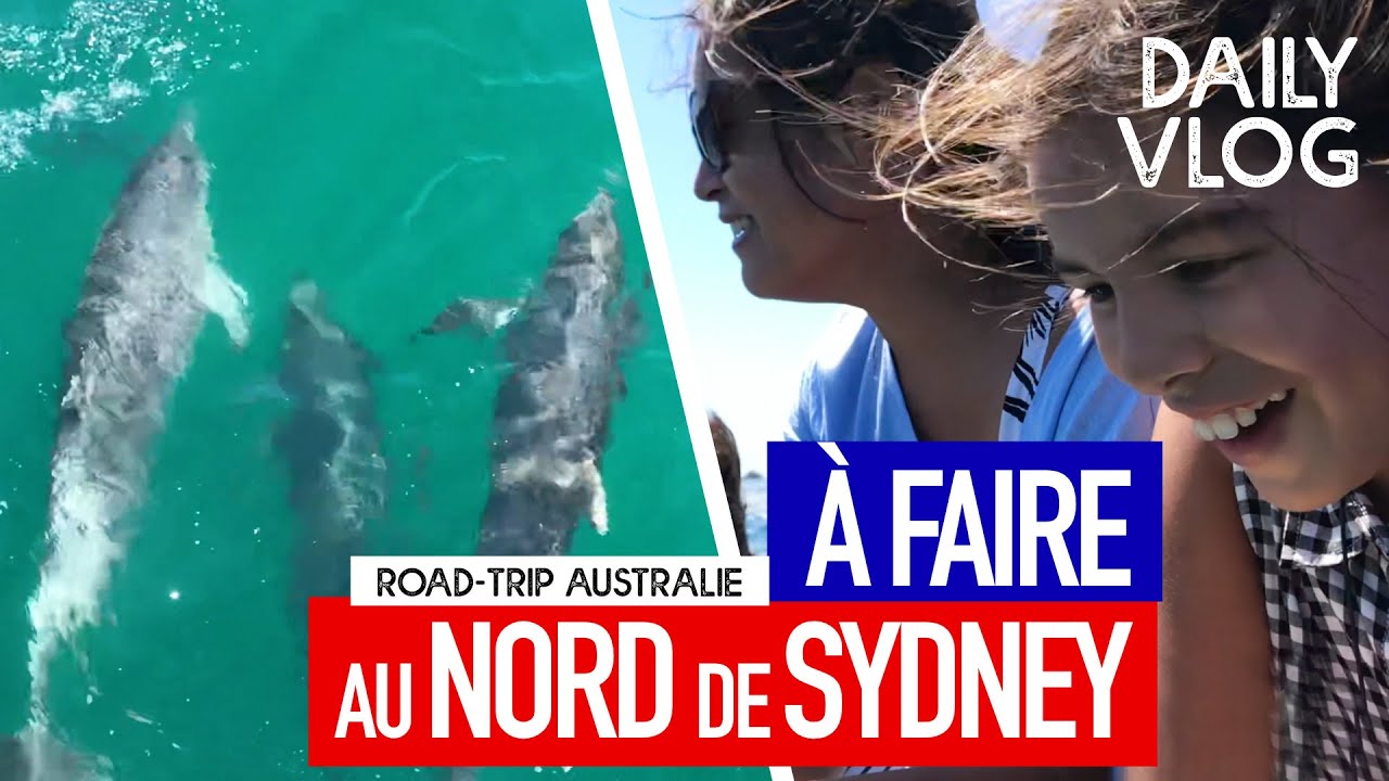 À FAIRE au NORD de SYDNEY 🐬 - 🚐 ROAD-TRIP AUSTRALIE 🇦🇺- DAILY VLOG #10