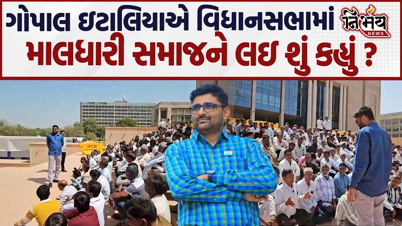 Gopal Italia  એ વિધાનસભામાં માલધારી સમાજને લઇ શું કહ્યું ? | Nirbhay news |