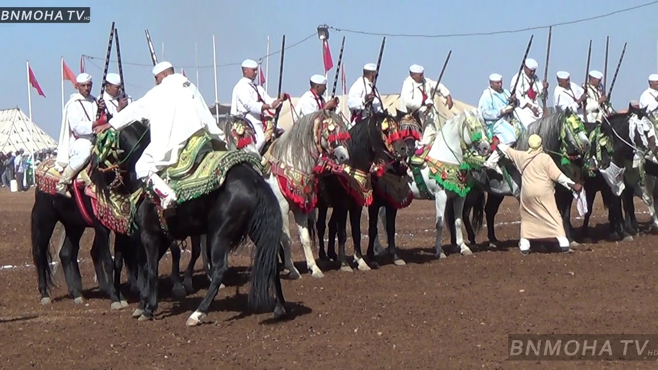 من موسم اولاد سعيد الواد سربة الهواري أبو الطيب خطفت القلوب بجمال الخيول وبقوة الاداء