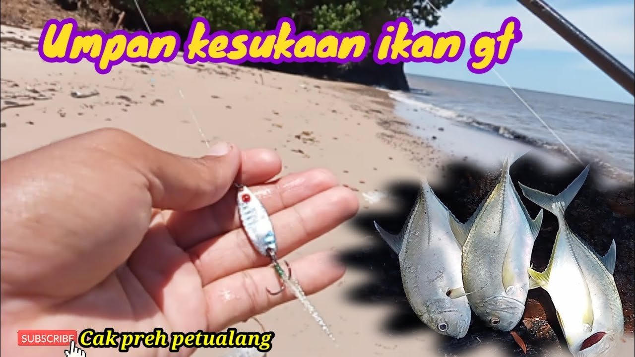 Ultralight casting pinggir pantai menggunakan spoon di jamin killer wajib di coba