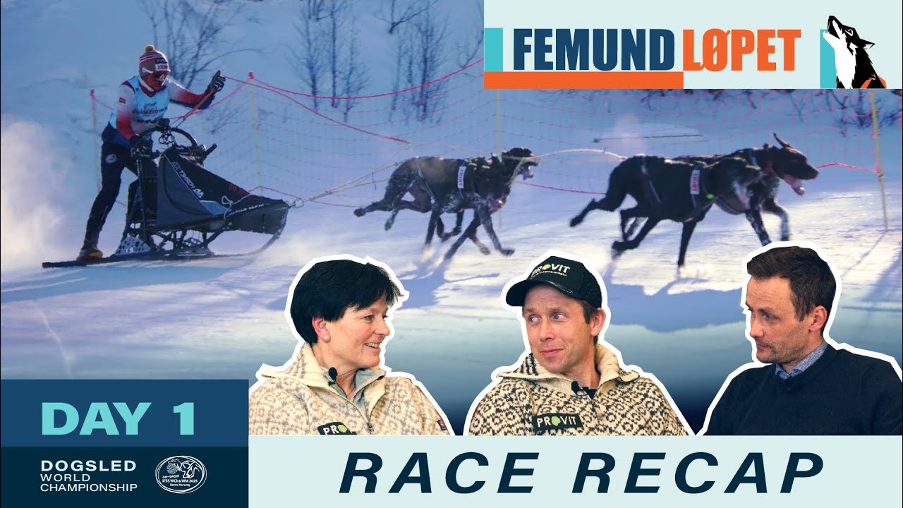 Kveldsending Verdensmesterskap Hundekjøring Røros 2025 | Mandag