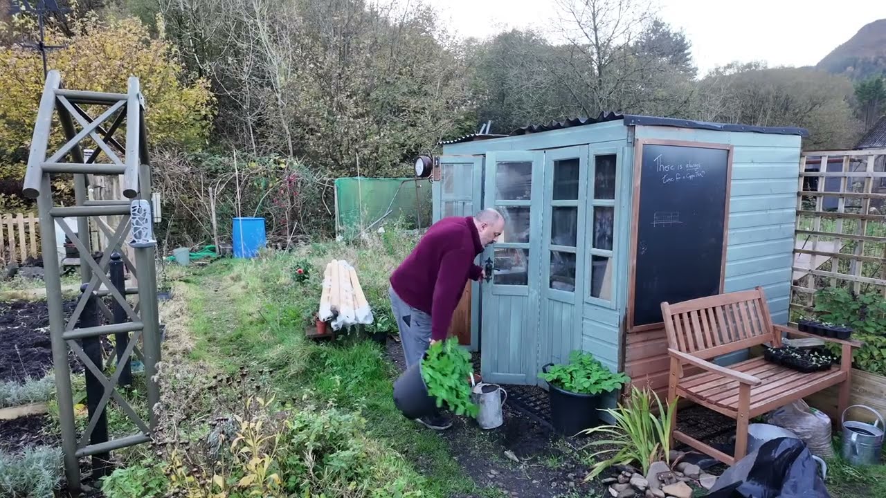 The Rusty Homestead: Year 2, October Journal