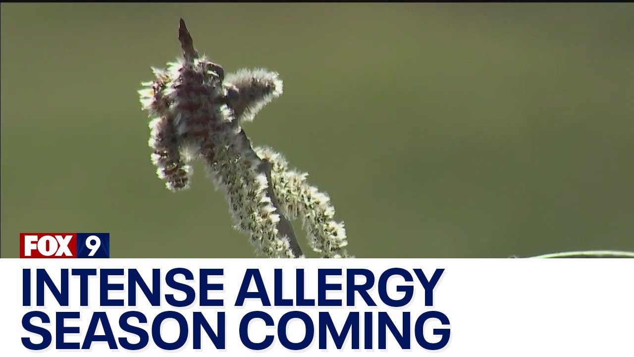 Warmer weather signals start to allergy season I KMSP FOX 9