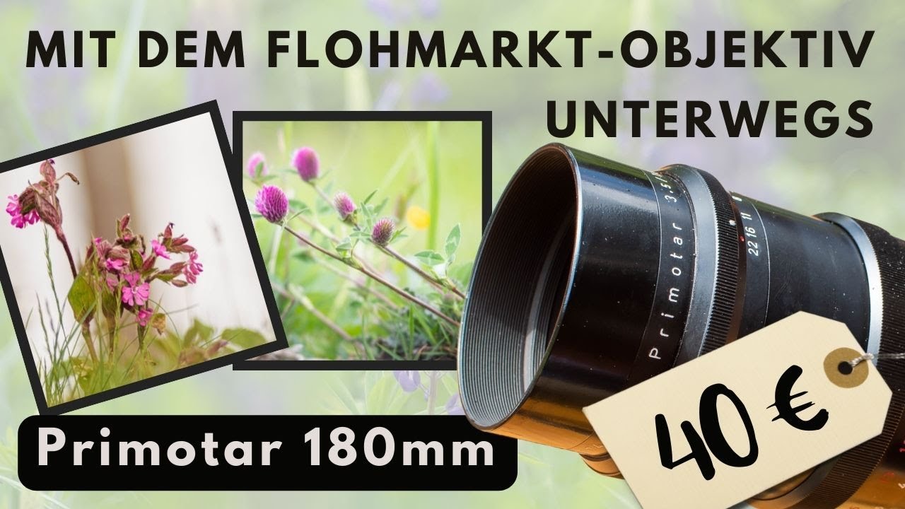 Dieses Objektiv macht Spaß: Mit dem Primotar vom Flohmarkt auf Fototour