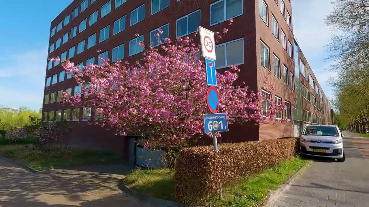 Springtime in Amsterdam 2025: The Secret Season Locals Don’t Want You to Know About