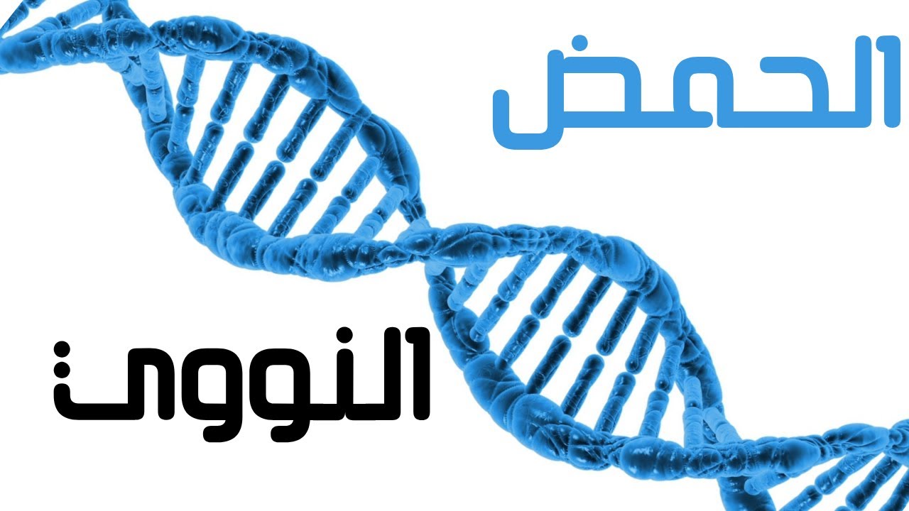 ما هو الحمض النووي؟