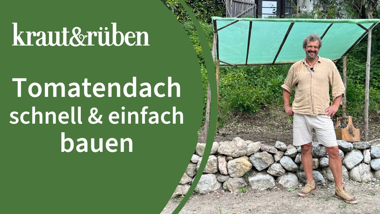 Einfach und günstig: Tomatendach selber bauen