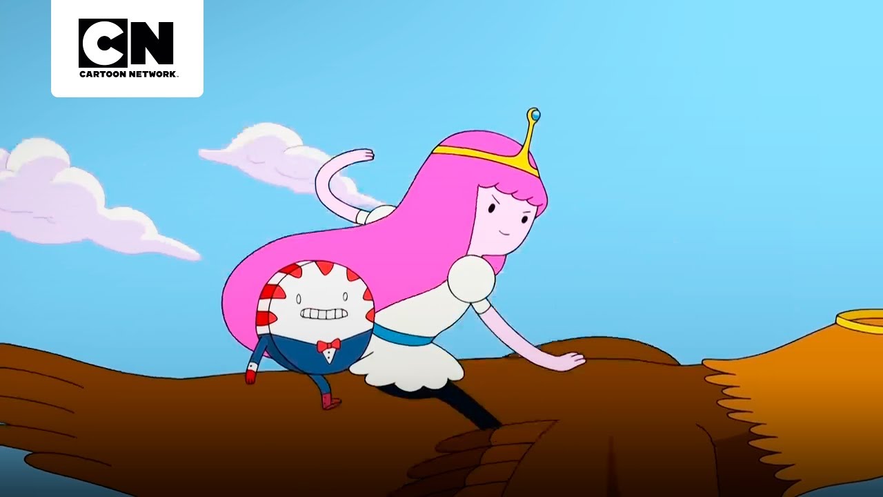 AS VIDAS, AVENTURAS E PERIGOS DAS PRINCESAS | HORA DE AVENTURA | CARTOON NETWORK