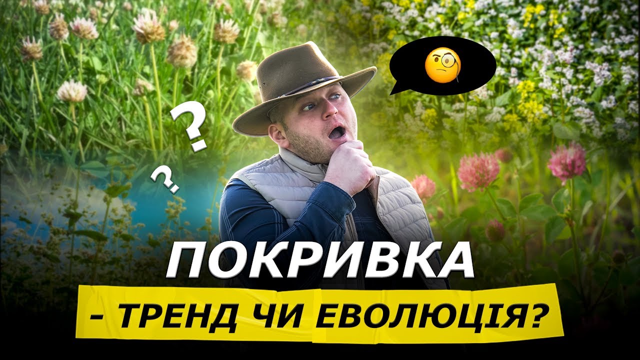 БАЗА ПРО ПОКРИВНІ КУЛЬТУРИ, ЯКУ ВИ ХОТІЛИ ЗНАТИ. ЗАБУТІ СИДЕРАТИ
