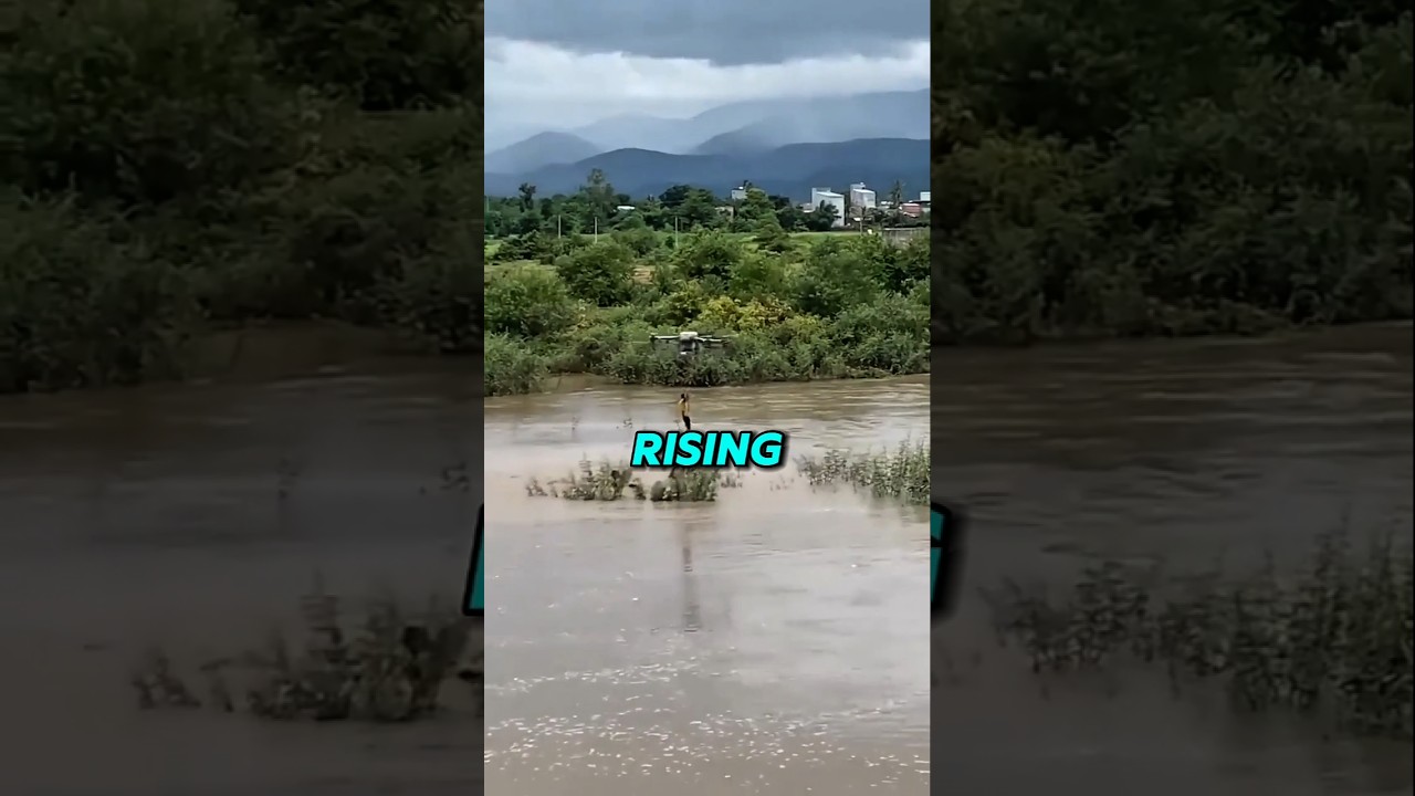 This Rescue Drone Is a Lifesaver