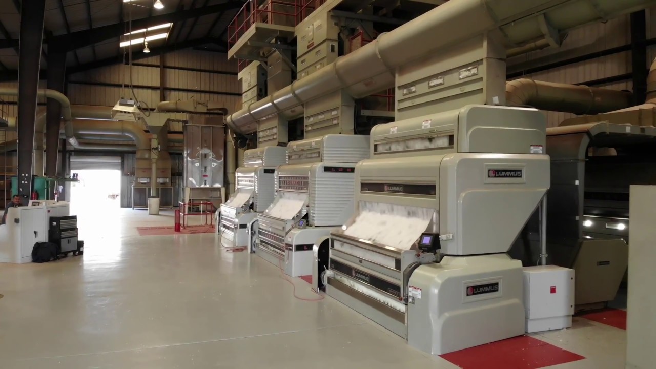 Ginning Cotton 2018