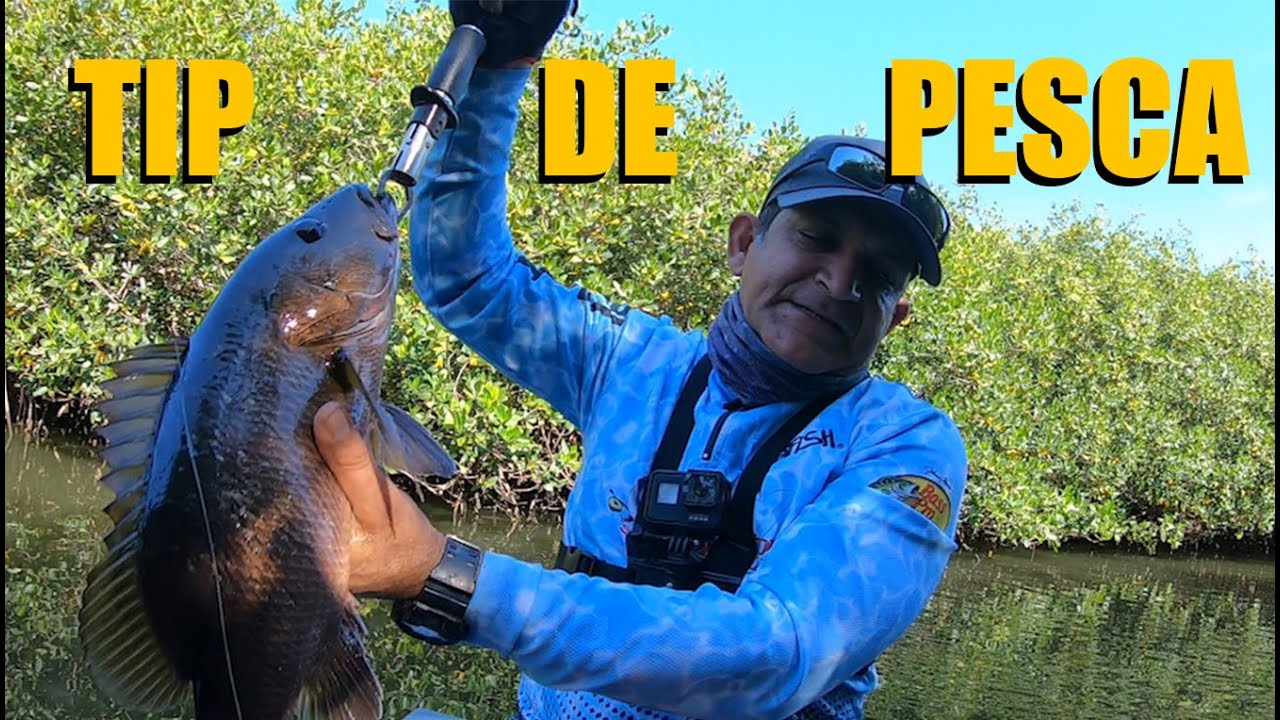TIP para pescar pargos en los estero | Lupe Lofish |