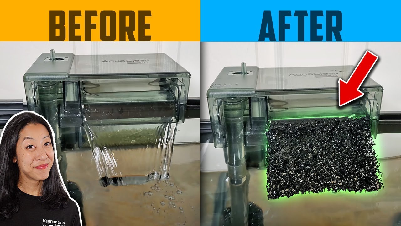 How to Slow Aquarium Water Flow for Betta Fish & Baby Fry