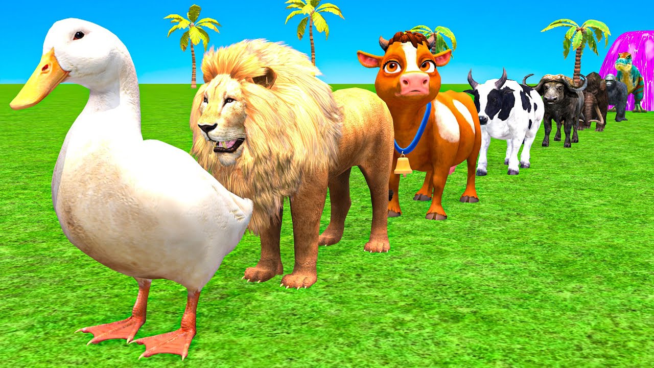 Duck Long Slide Game with Cow Elephant Gorilla Hippopotamus Tiger 3d Animal Game Funny 3d Animals