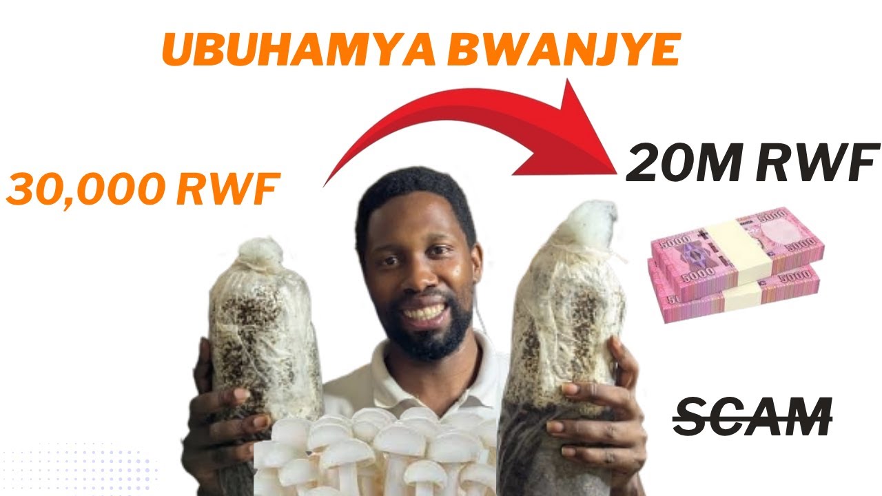 Ubuhamya: Uko Natangije 30,000 RWF Muri Business y’Ibihumyo Nkaba Ngeze ku Mamiliyoni | Philemo Farm