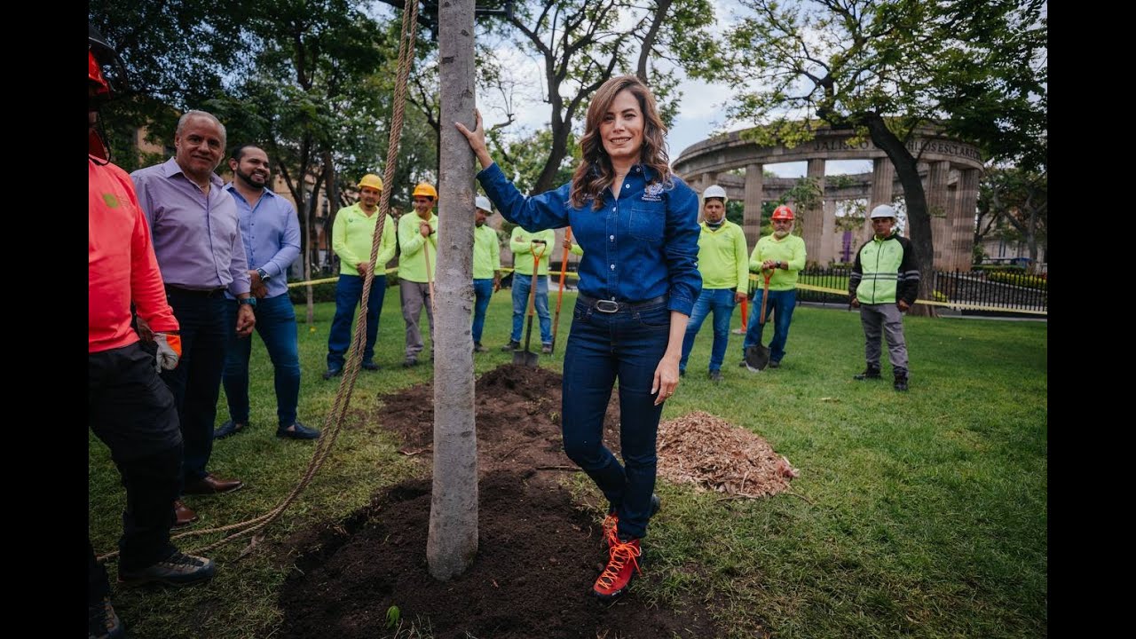 Plan de Arbolado Urbano 2025 - Gobierno de Guadalajara
