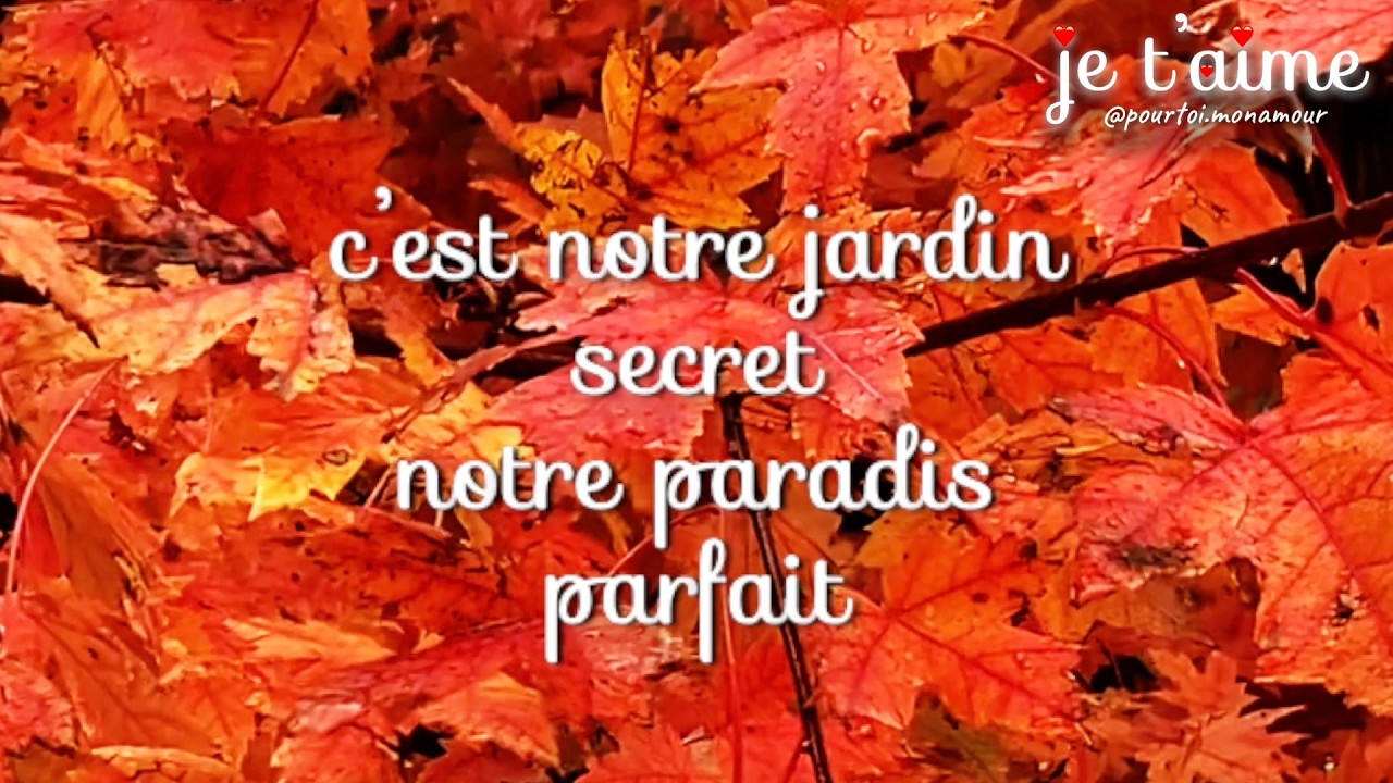 ♥️ Paradis d'amour • Un message pour toi, mon amour 🌸 #amour #love #jetaime #french #pourtoi
