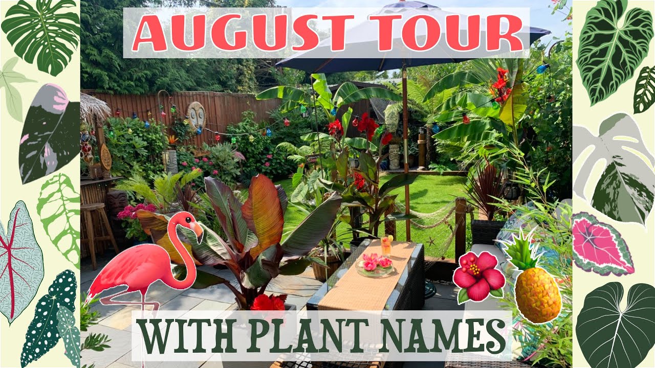 UK Tropical Garden Tour  - With Plant Names  🌺🍍🌴🦩