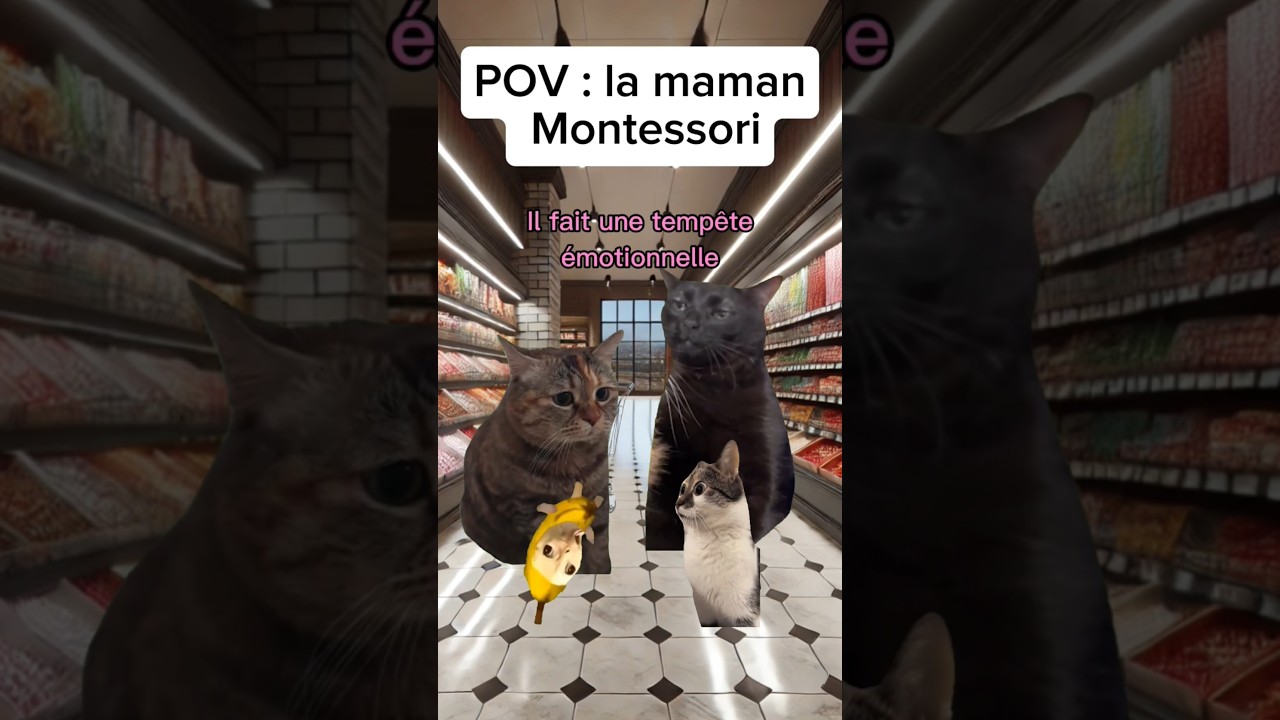 POV: la maman Montessori #humour #chat #sketch #catmemes #drole #pov