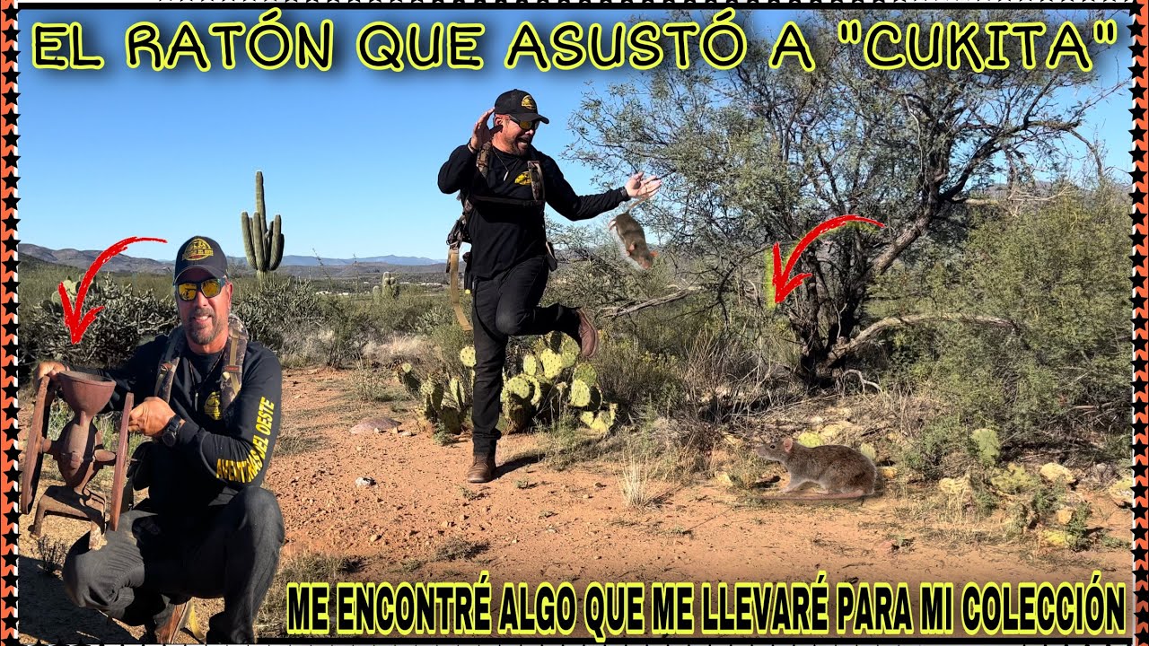 AVENTURA 337 ME ENCONTRÉ ALGO INCREÍBLE EN MEDIO DEL DESIERTO