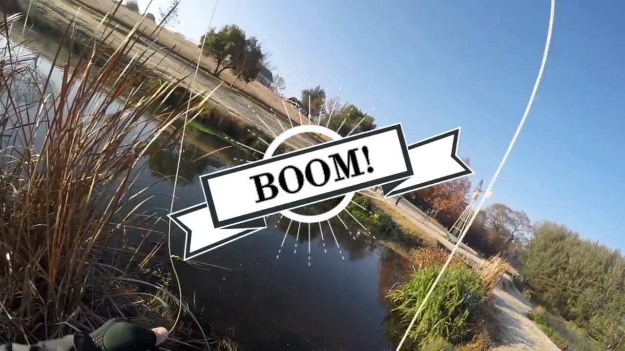 Brookwood Trout Farm Massacre -  South African Fly Fishing