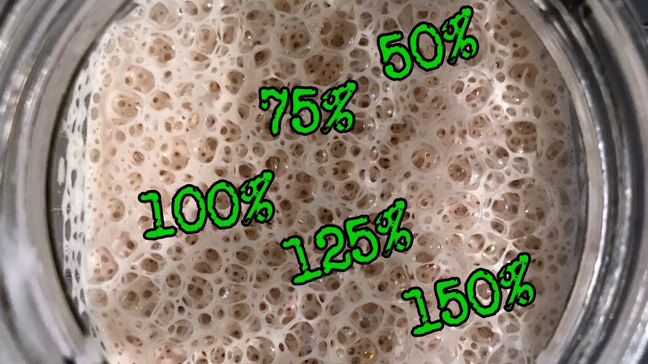 Starter Hydration Timelapse | How hydration affects dough growth | Foodgeek