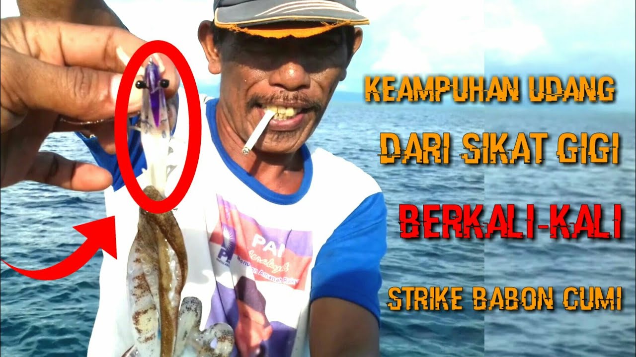 Gagang Sikat Gigi Bekas Strike Babon Cumi Tiada Henti-Angler Cumi