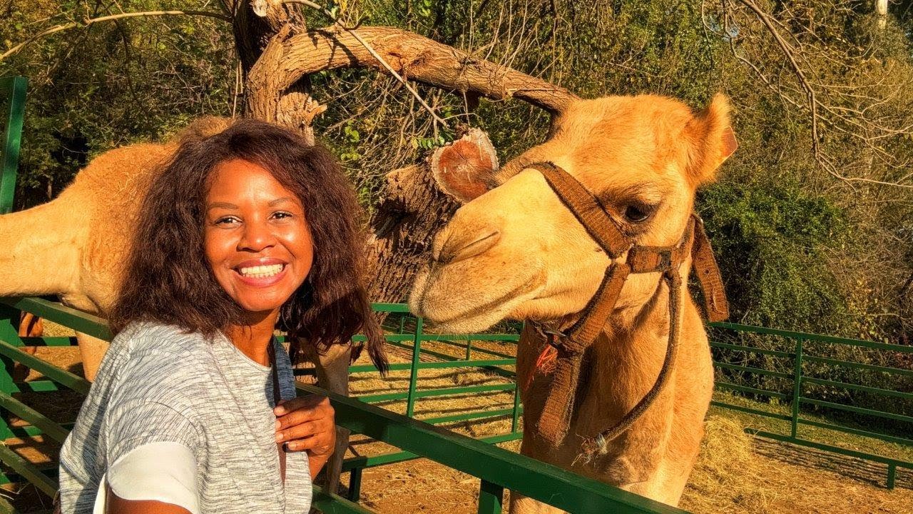 My Walking Tour of a Turkish Oasis in South Africa