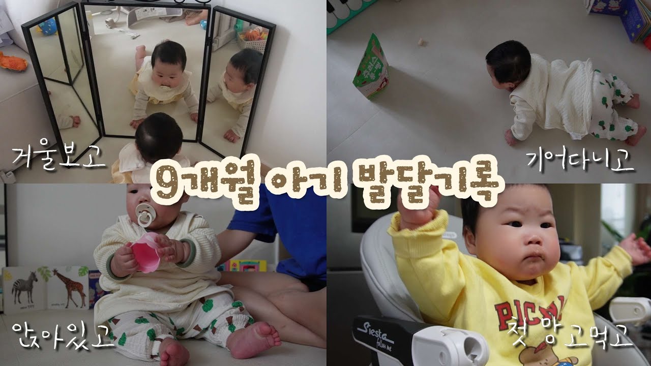 9개월아기 발달 기록📝, 267일차에 기어다니기시작👶, 9개월아기 이유식, 엘빈즈이유식, 이유식양, 이유식 시간