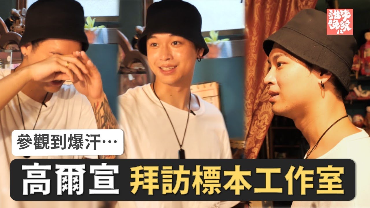 高爾宣拜訪標本工作室竟爆汗？完整故事請看【公視 誰來晚餐 我愛標本又怎樣】
