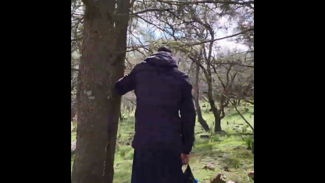 زرت من أفضل الغابات في الجزائر…وقلت نلقاها كيما كل مرة 🌲بصح اللي شفتو تما ما كانش في الحسبان 😳🔥ا
