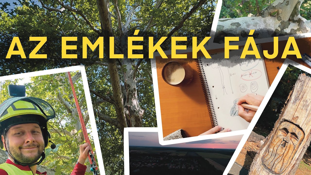 Az emlékek fája – a gerlai platán