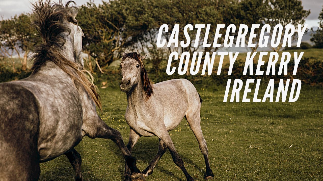 CASTLEGREGORY - County Kerry - Ireland