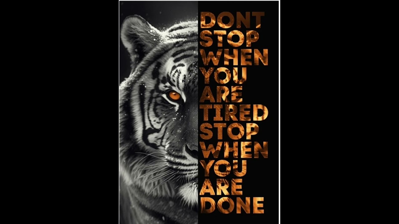 Punjabi Lions (English Rap)