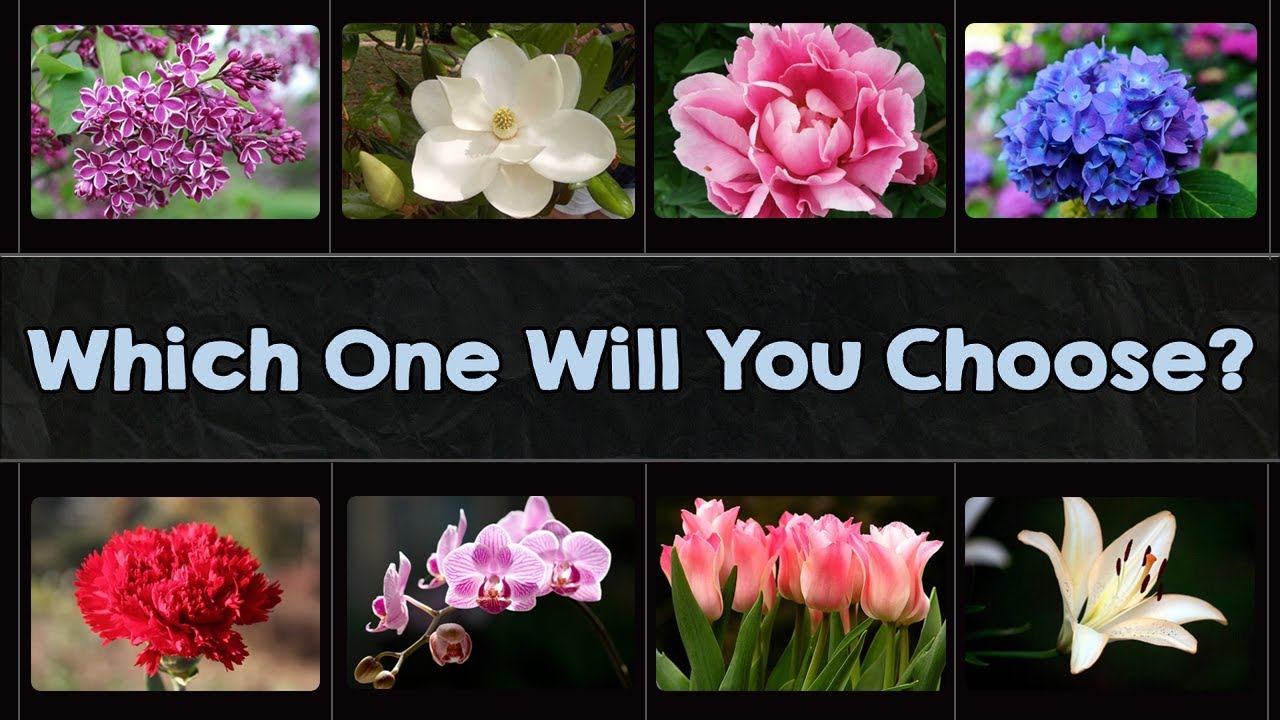 Pick One Flower To Know About Your Personality | Pick One Personality Test