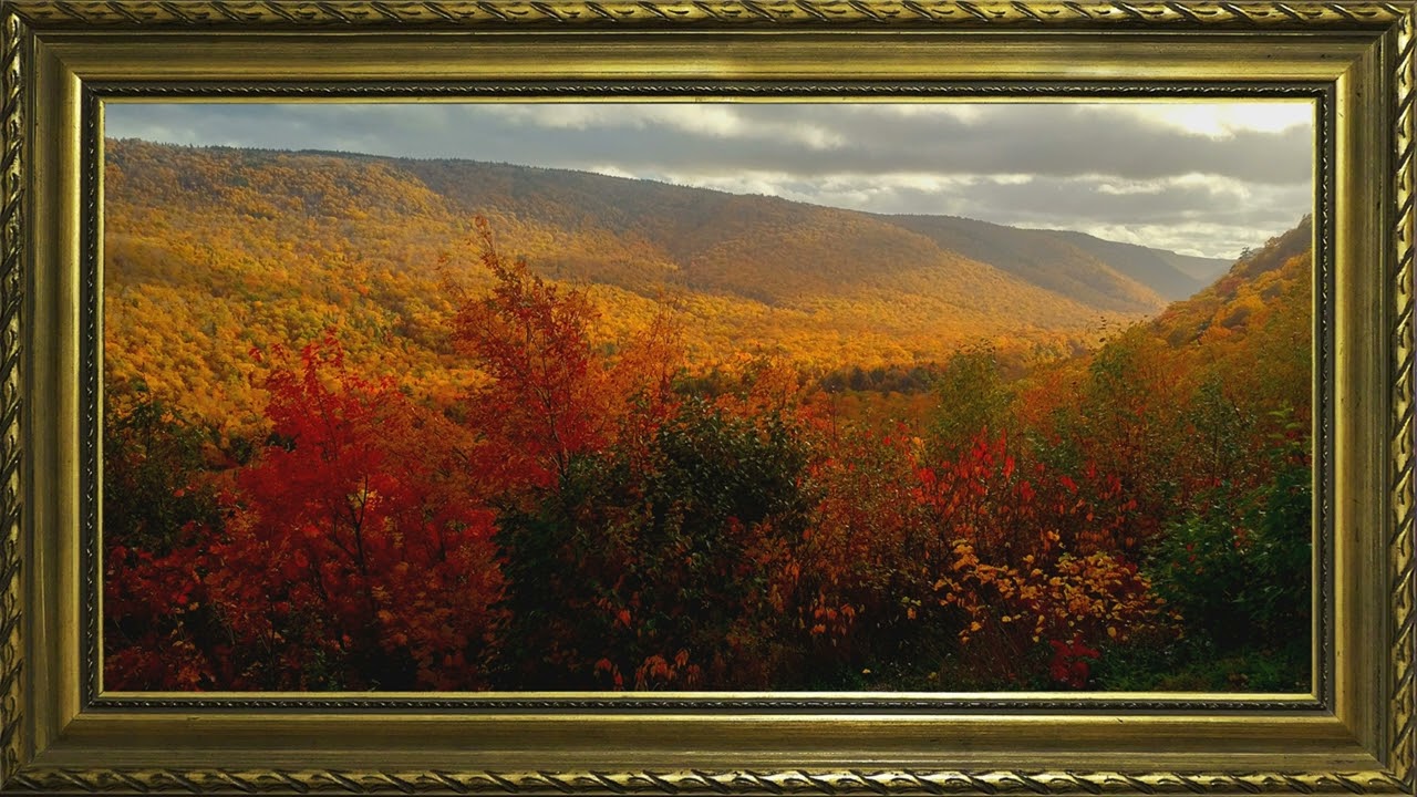 Luxurious autumn leaves/ TV LUXURY Art / Elegant TV Wallpaper Inspiration.