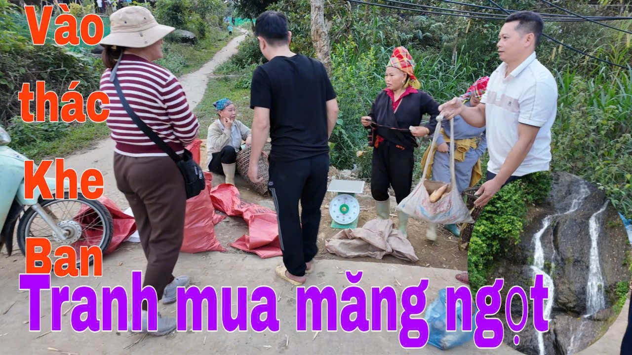 Vào thác Khe Ban tranh mua măng ngọt DinhTheChau#travel