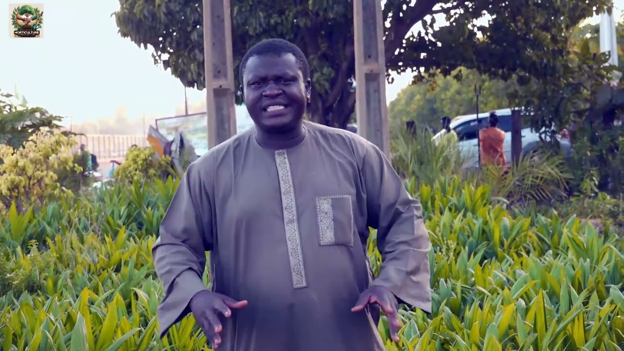P.R.O.LAWAL TSOHO YA JA HANKALIN MANOMA GAME DA NOMAN ITATUWA DA KUMA....