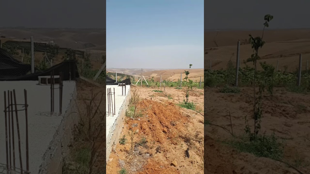 أرض فلاحية للبيع نواحي تيفلت بجماعة عين جوهرة 1400 متر محفظة فيها مجموعة من الامتيازات 0671452797