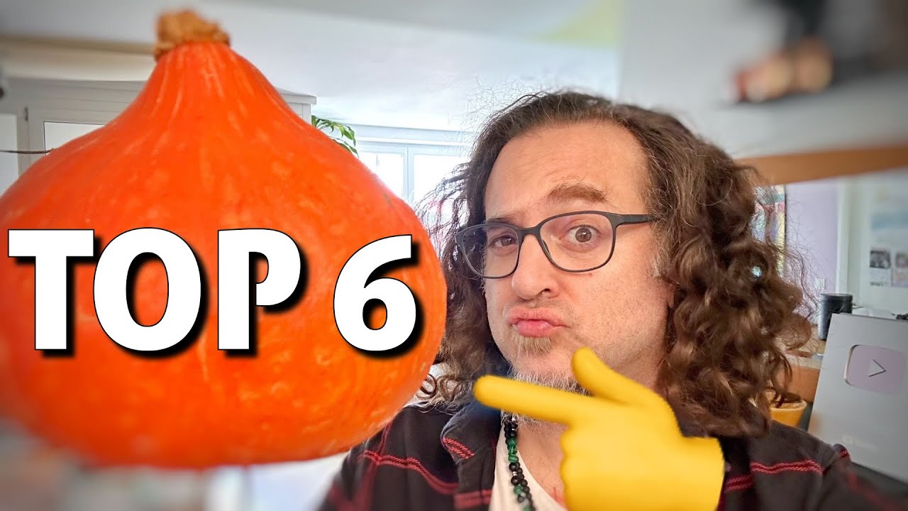 TOP 6 der besten K&uuml;rbis Rezepte und warum ihr sie unbedingt kennen m&uuml;sst
