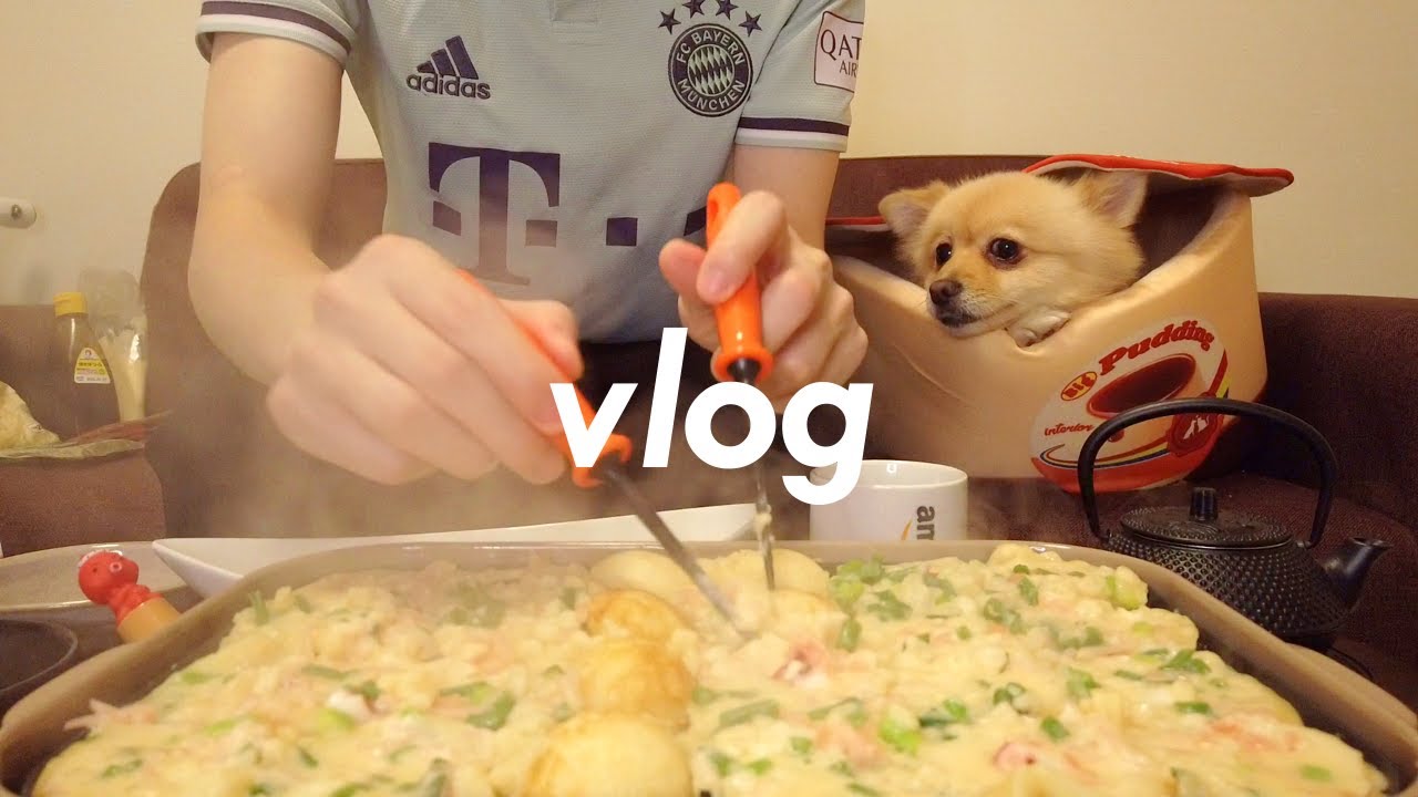【vlog】早朝からたこ焼きパーティー / 愛犬とアラサー独身男の日常