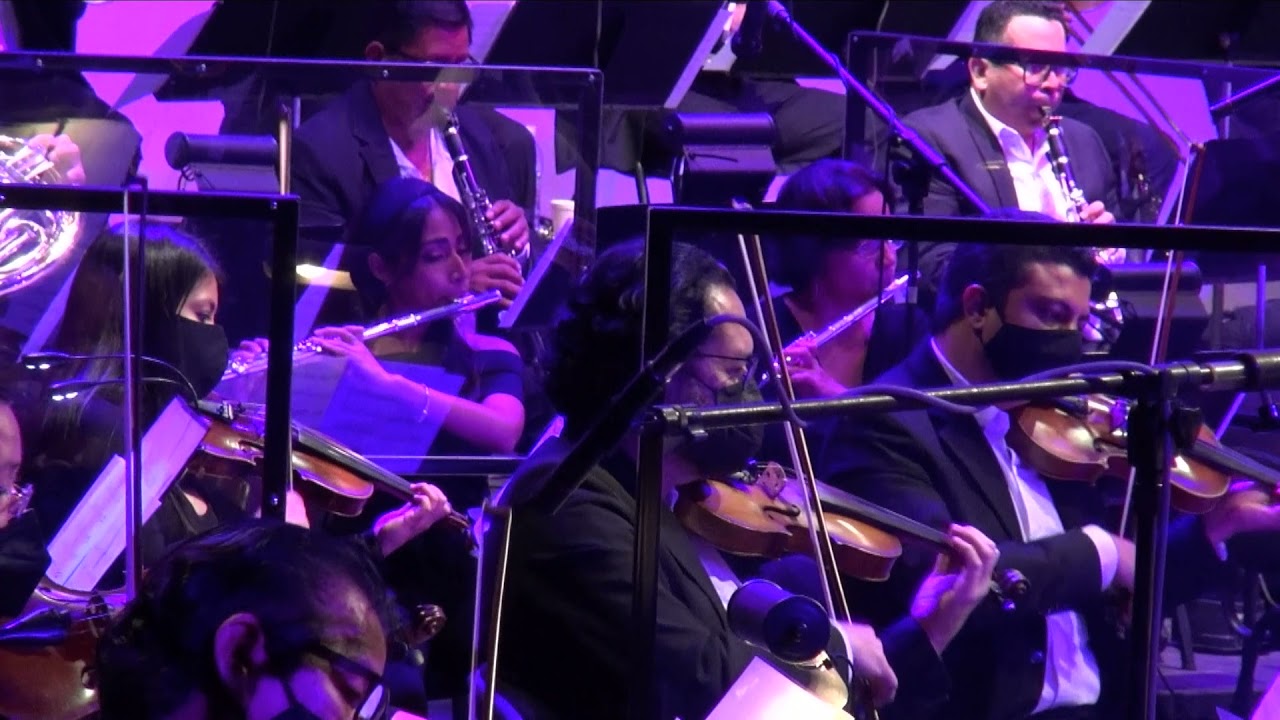 Hooked on Tchaikovsky / Concierto Pop de la OSES