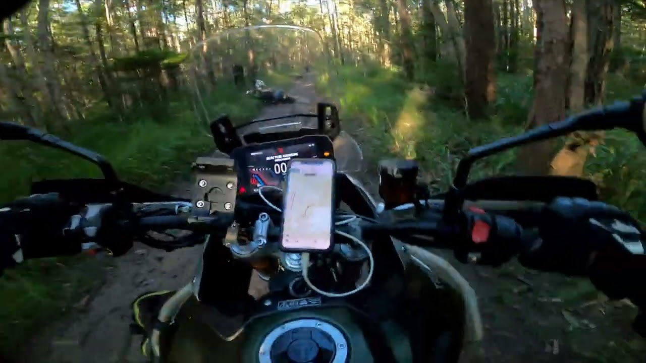 Tiger 900 Rally Pro  Bush tracks, Wet, Muddy Bush ADV Event Ride